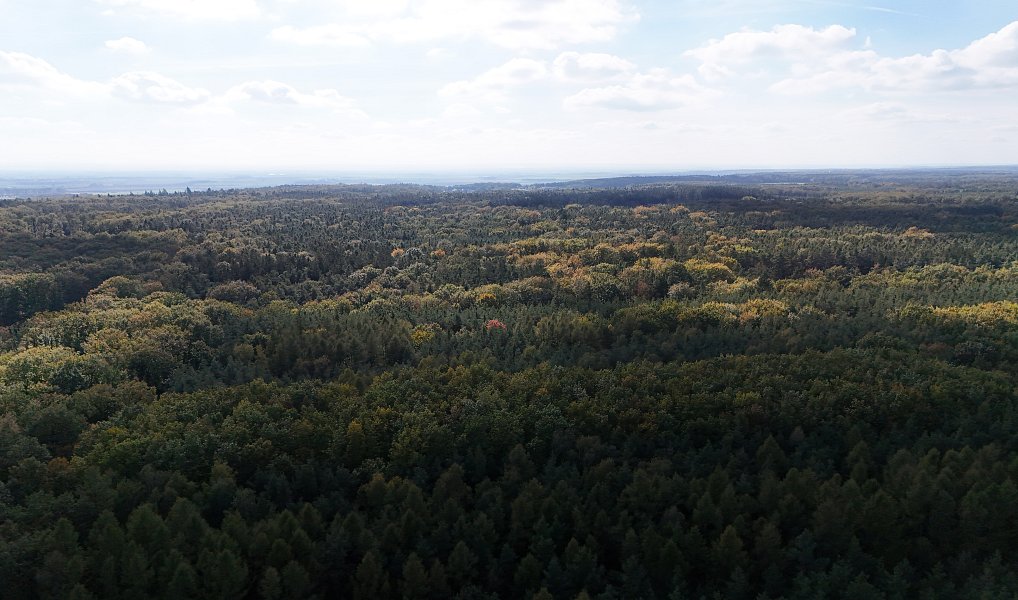 Prodej výrobních prostor 19 535 m², Seletice – náhled fotky 26