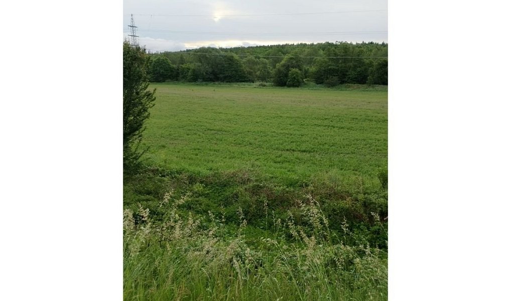 Prodej louky 30 392 m², Citice – náhled fotky 2