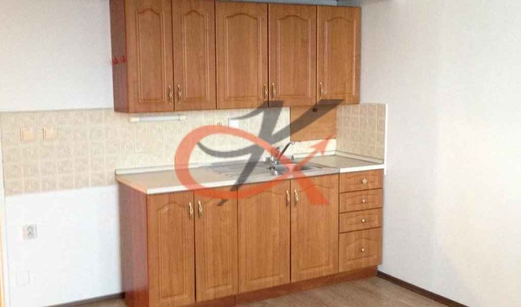 Pronájem bytu 1+kk 28 m², Zubří – náhled fotky 5