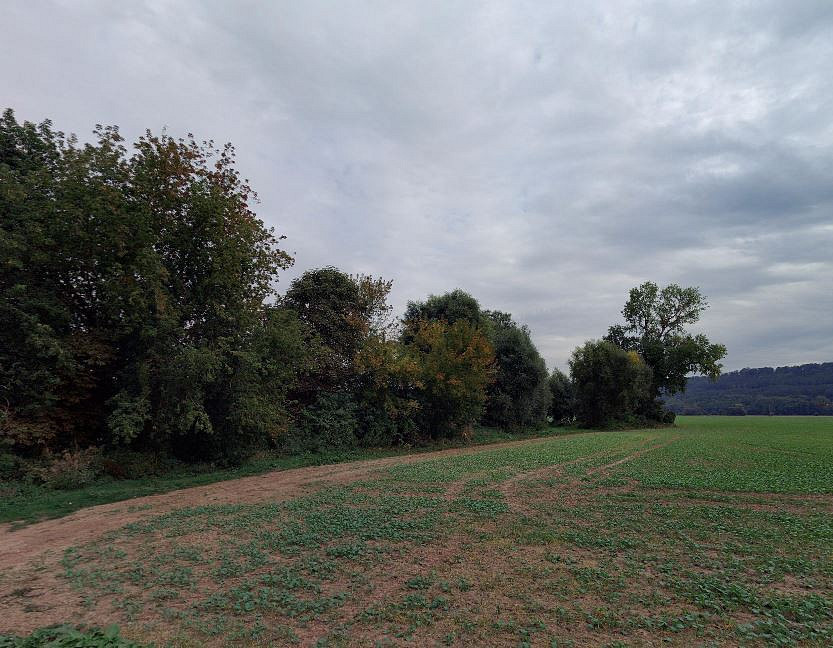 Dražba lesa 10 110 m²