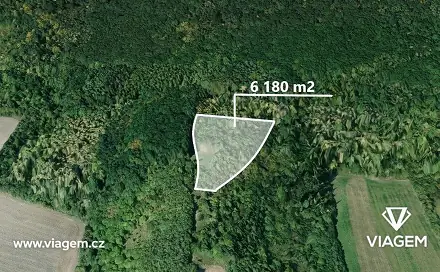 Prodej lesa 2 060 m², Dobrovice, okres Mladá Boleslav