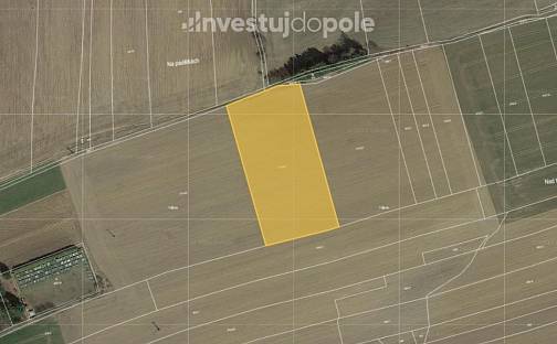 Prodej pole 9 951 m², Buřenice, okres Pelhřimov