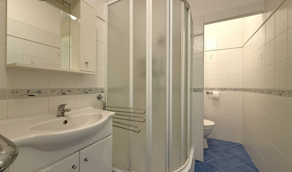 Pronájem bytu 1+kk 35 m², Plzeň – náhled fotky 7