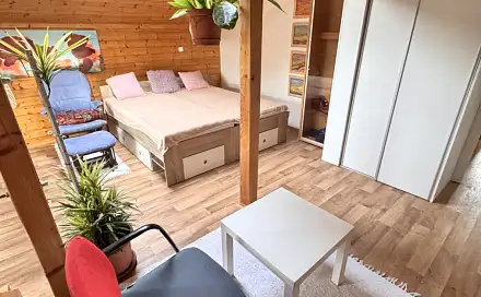 Pronájem bytu 1+1 46 m²