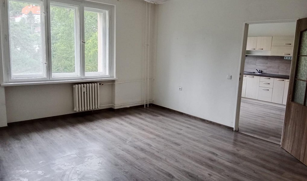 Pronájem bytu 2+kk 54 m², Ústí nad Labem – náhled fotky 5