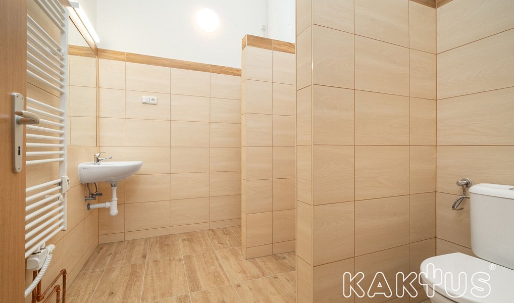 Pronájem bytu 1+kk 32 m², Vratimov – náhled fotky 2
