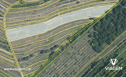Prodej pole 4 619 m², Lovčičky, okres Vyškov