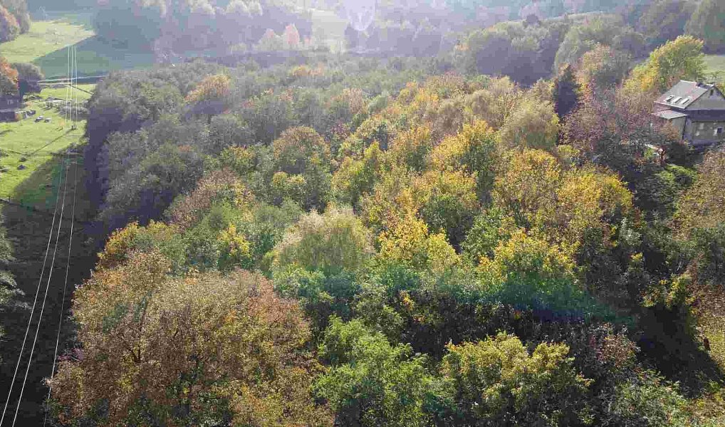Prodej pozemku 543 m², Hrádek nad Nisou – fotka 1 z 7