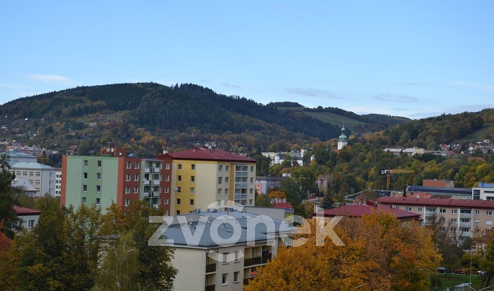 Pronájem bytu 2+1 48 m², Vsetín – náhled fotky 8