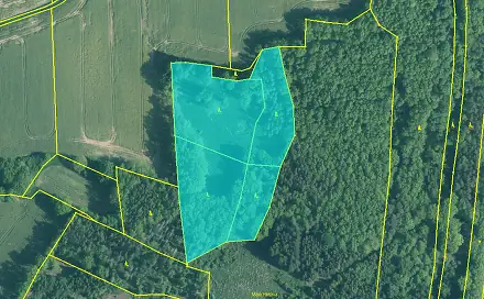 Prodej lesa 19 204 m², Skály, okres Písek