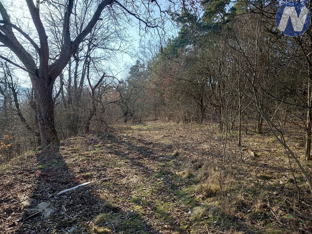 Prodej pozemku 1 999 m² – fotografie 5