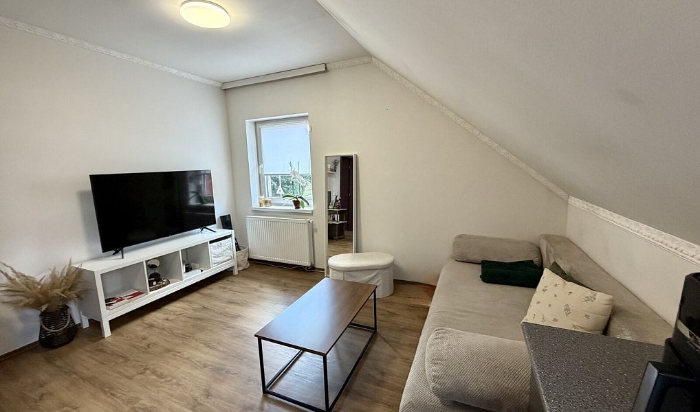 Prodej domu 219 m² s pozemkem 456 m², Mladá Boleslav – náhled fotky 18