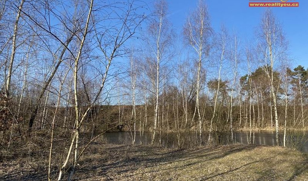 Prodej komerčního pozemku 16 182 m², Stará Voda – náhled fotky 10