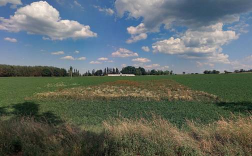 Prodej zahrady 1 434 m², Řepeč - Kášovice, okres Tábor