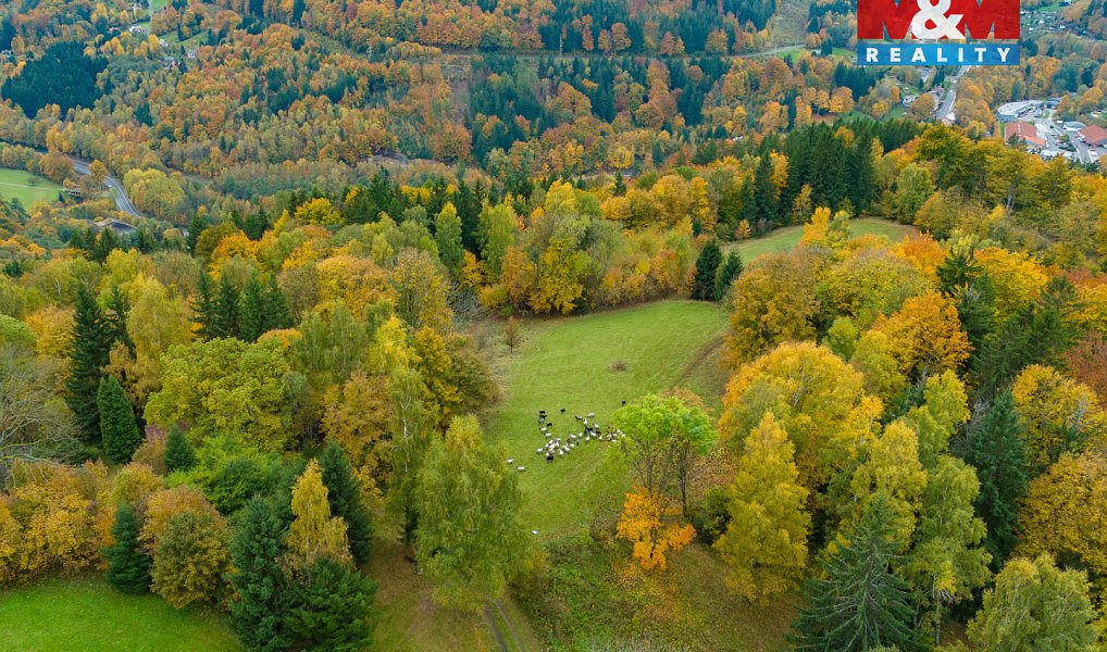 Prodej louky 1 589 m², Tanvald – náhled fotky 5