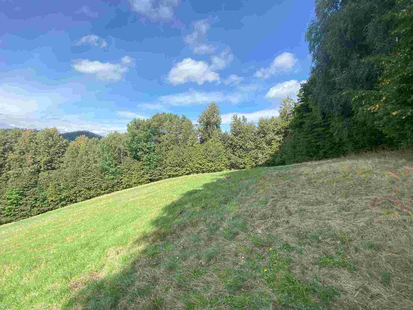 Prodej pozemku 10 593 m² – fotografie 4