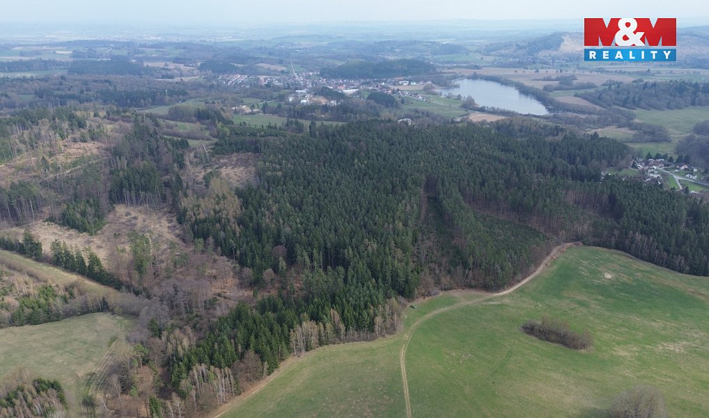 Prodej lesa 7 873 m², Mrákotín – náhled fotky 13