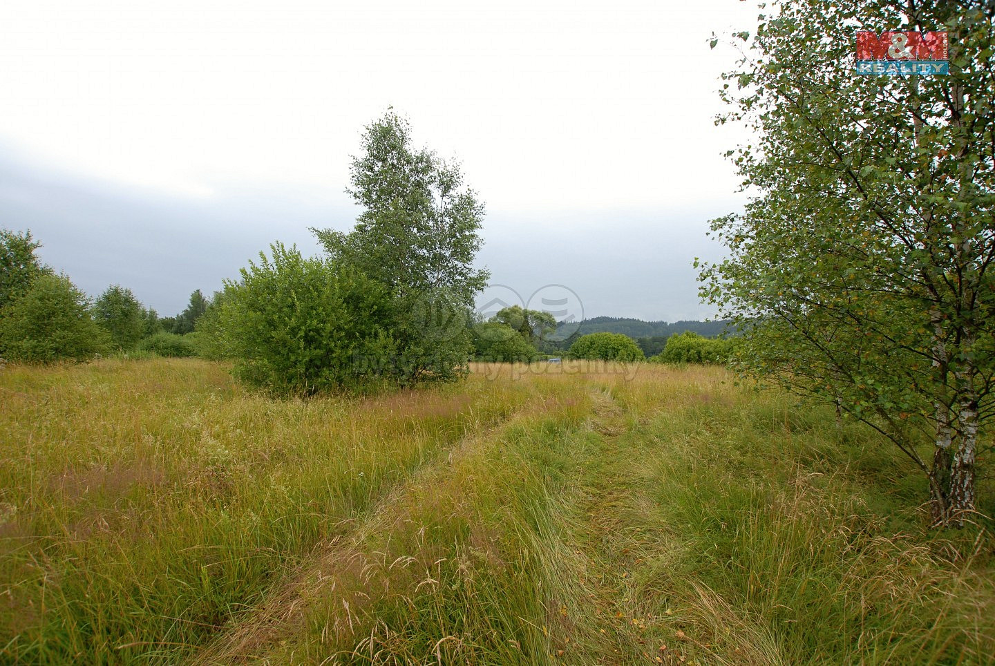 Prodej pozemku 12 000 m² — photo 3