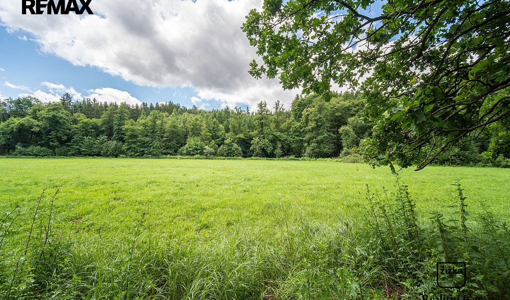 Prodej louky 1 169 m², Bratronice – náhled fotky 11