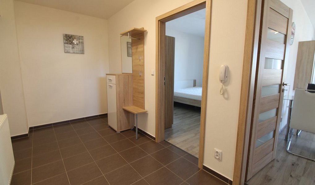 Pronájem bytu 2+kk 53 m², Plzeň – náhled fotky 6