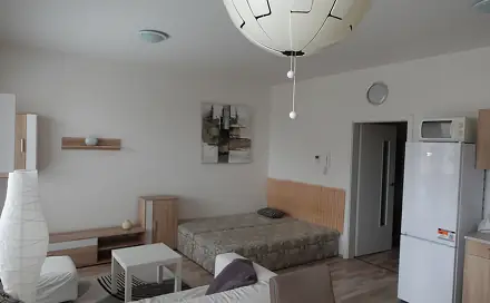Pronájem bytu 1+kk 45 m², Kigginsova, Brno - Slatina