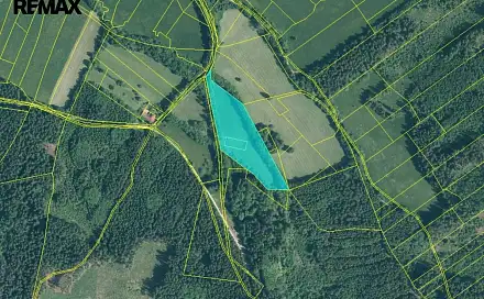 Prodej louky 14 292 m², Strašín, okres Klatovy