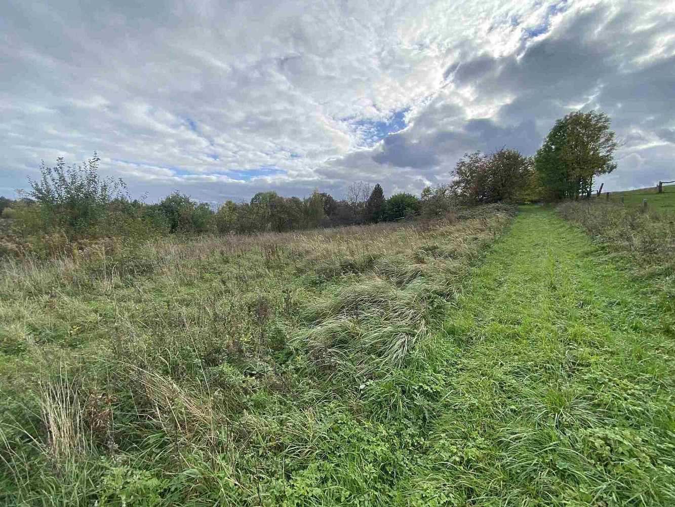 Prodej stavebního pozemku 1 651 m² — photo 4