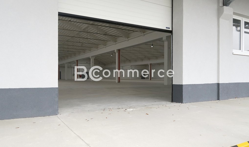 Pronájem skladovacích prostor 1 124 m², Holubice – náhled fotky 8
