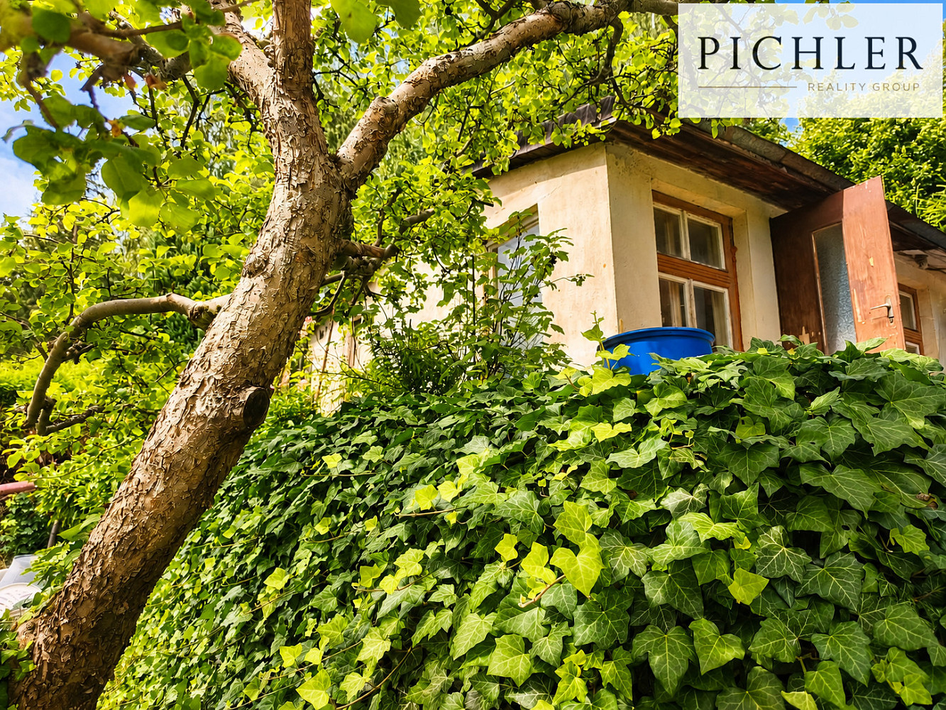 Prodej zahrady 662 m² – fotografie 3