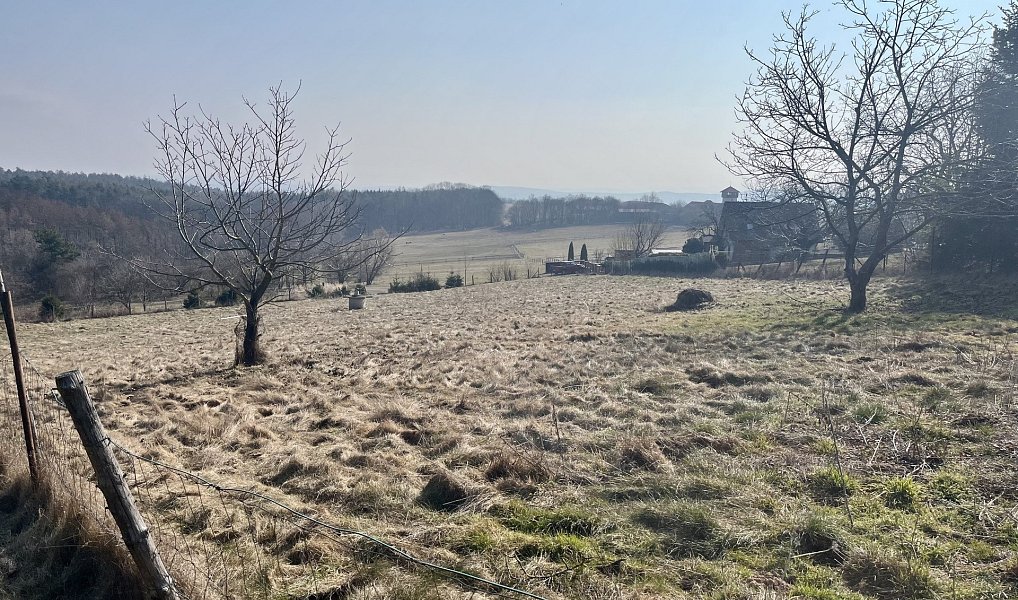 Prodej stavebního pozemku 1 500 m², Olšany – náhled fotky 2