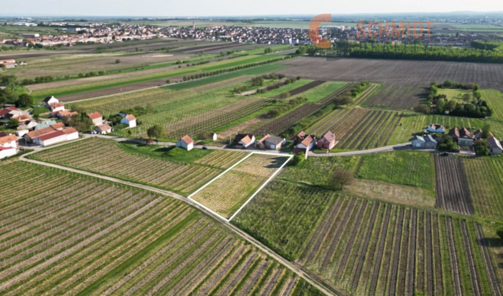 Prodej komerčního pozemku 1 724 m², Velké Bílovice – náhled fotky 3