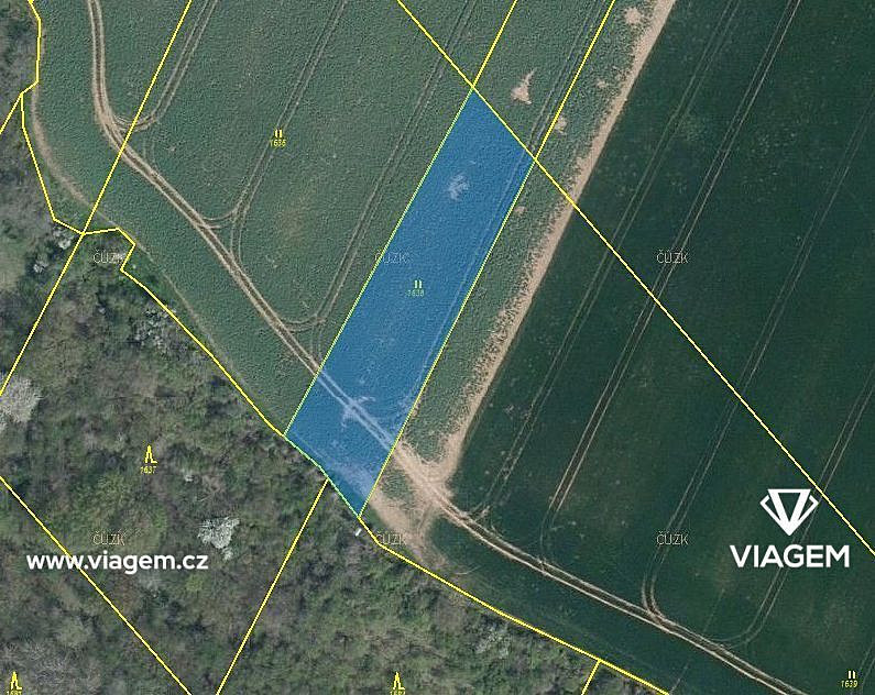 Prodej pole 2 462 m² – fotografie 2