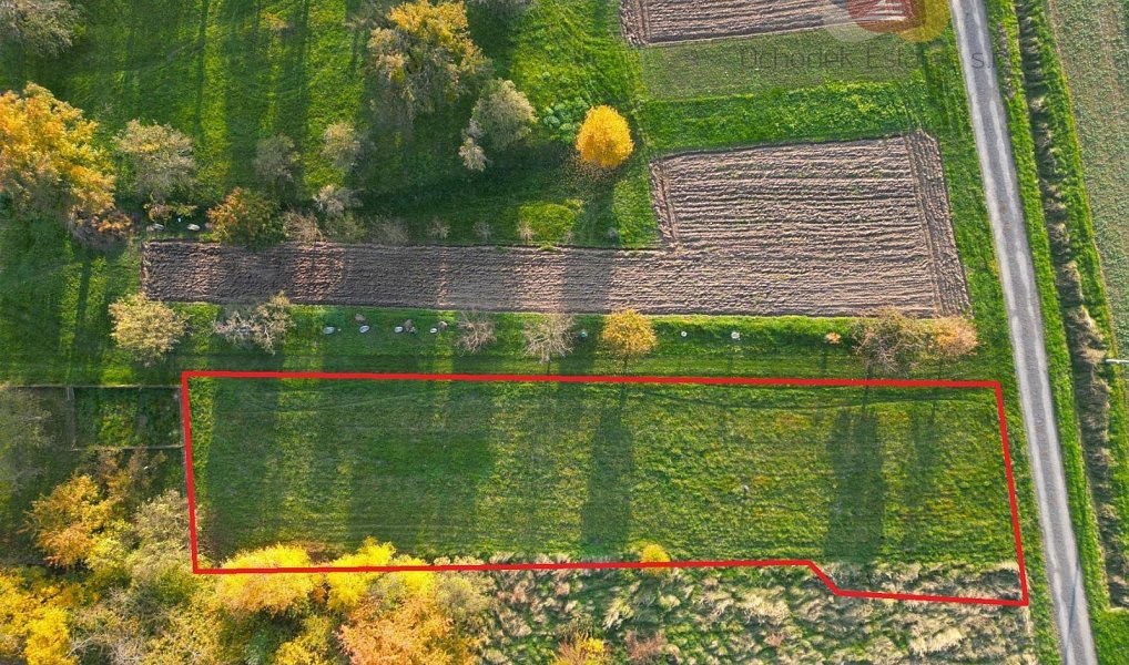 Prodej stavebního pozemku 1 030 m², Nová Hradečná – náhled fotky 3