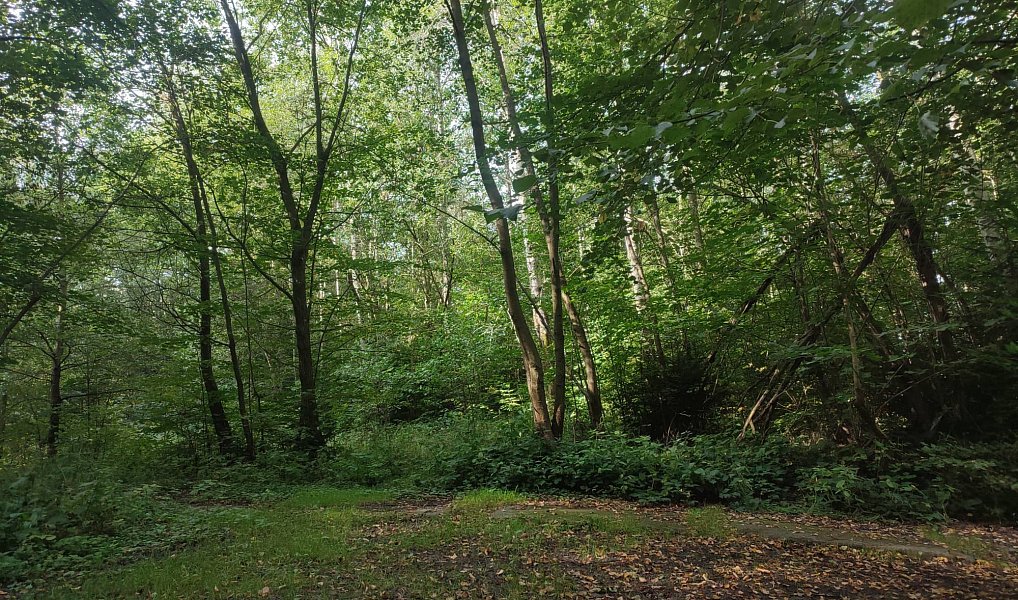 Prodej stavebního pozemku 406 m², Jeseník – náhled fotky 3