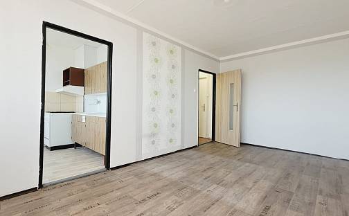 Pronájem bytu 1+1 33 m², Fügnerova, Bílina - Pražské Předměstí, okres Teplice