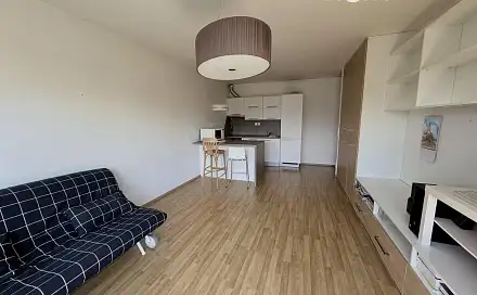 Pronájem bytu 1+kk 41 m²