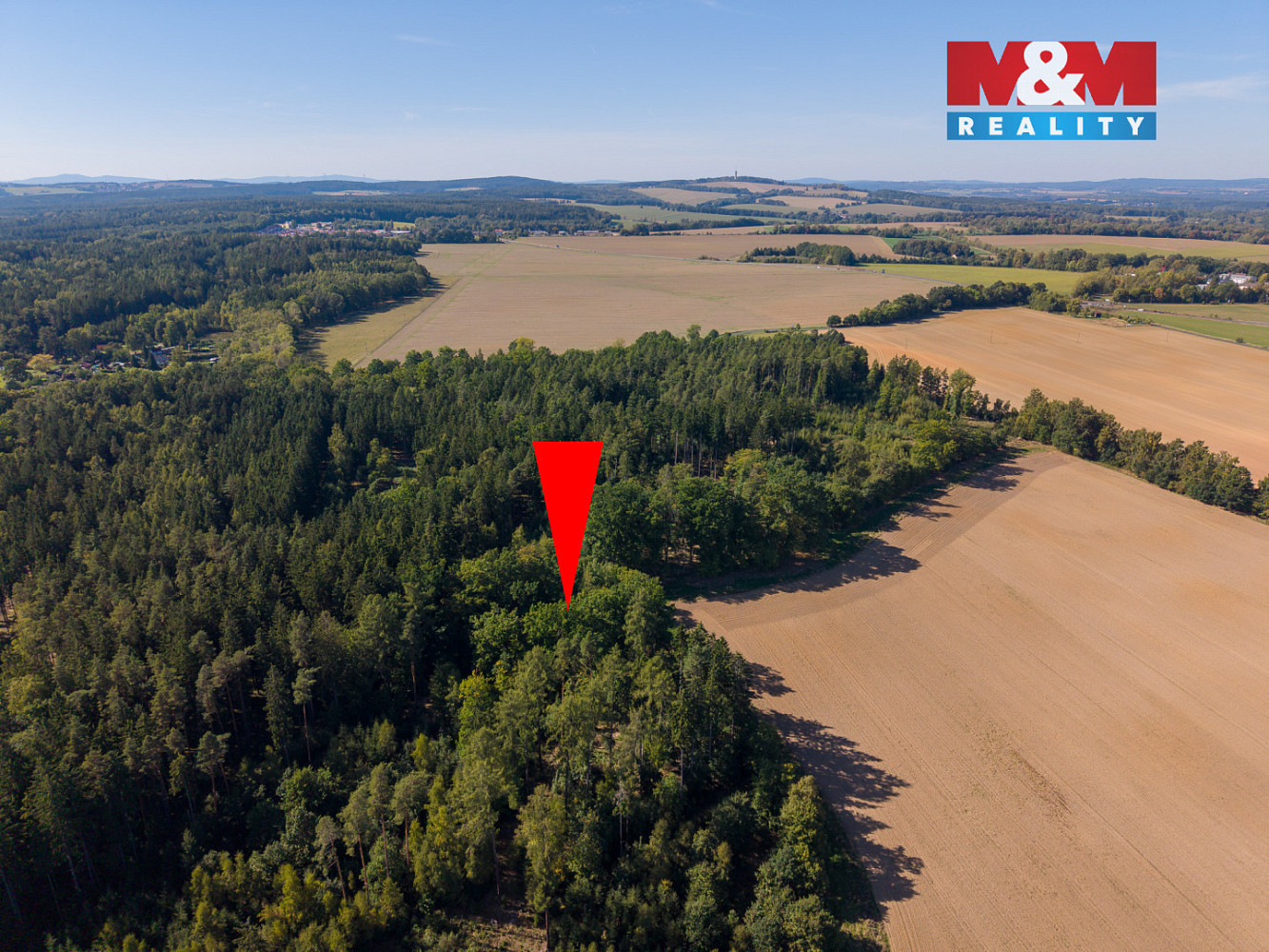 Prodej lesa 1 757 m² — photo 5