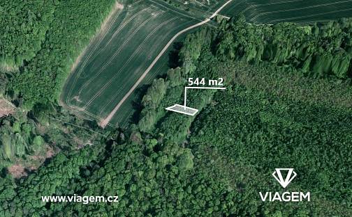 Prodej lesa 544 m², Pačlavice, okres Kroměříž
