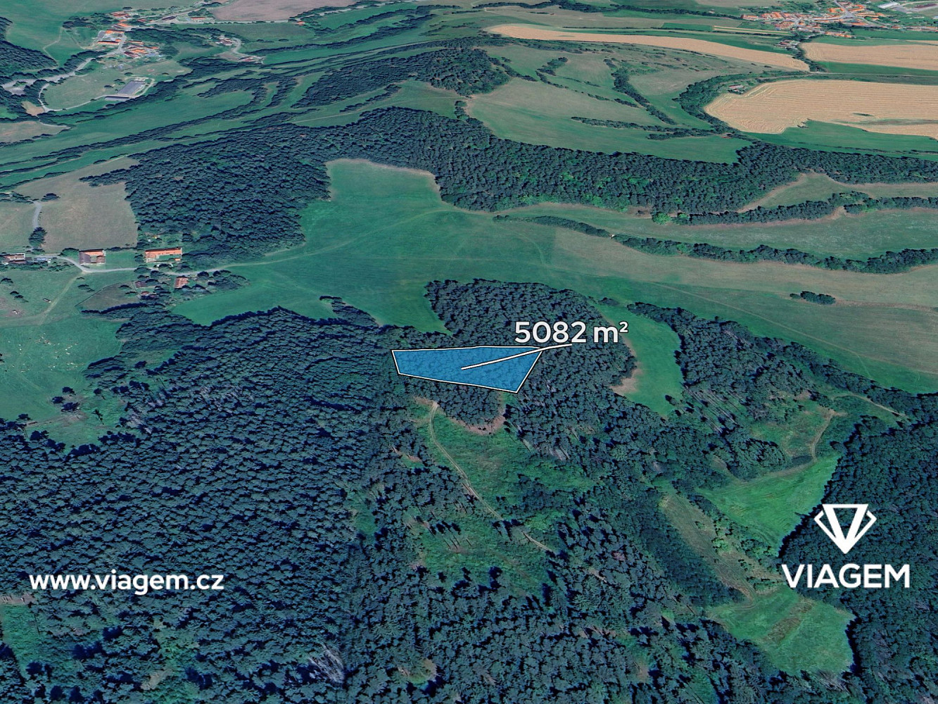 Prodej lesa 1 129 m²