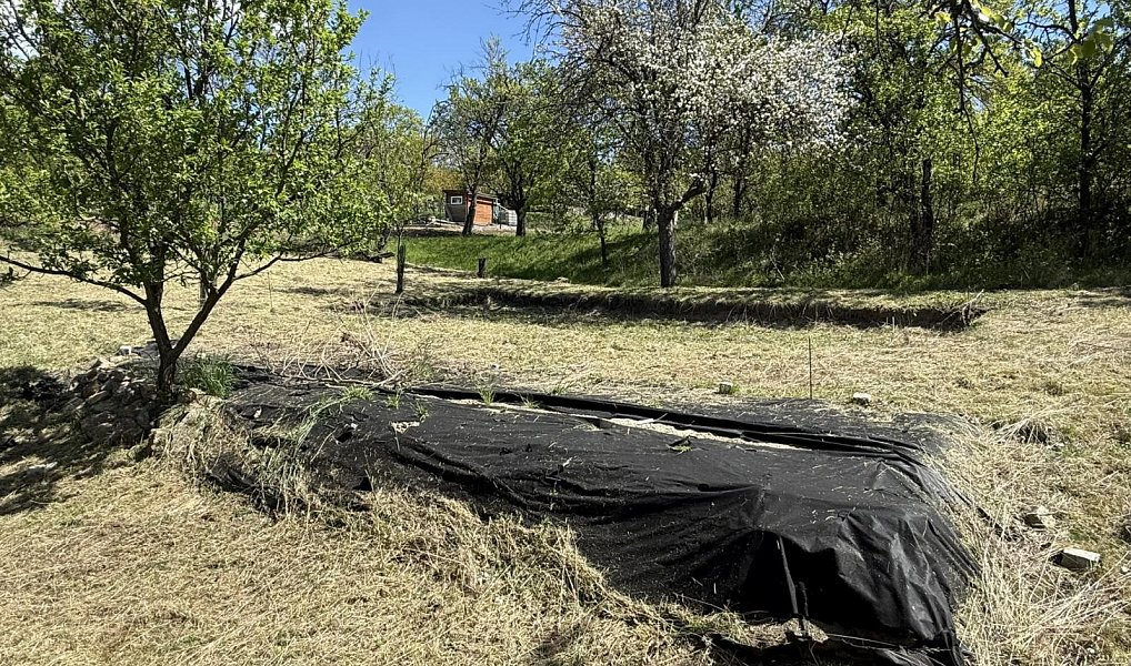 Prodej zahrady 539 m², Slavkov u Brna – náhled fotky 6