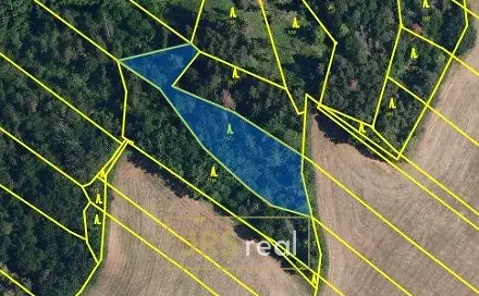 Prodej lesa 2 416 m², Březina, okres Brno-venkov