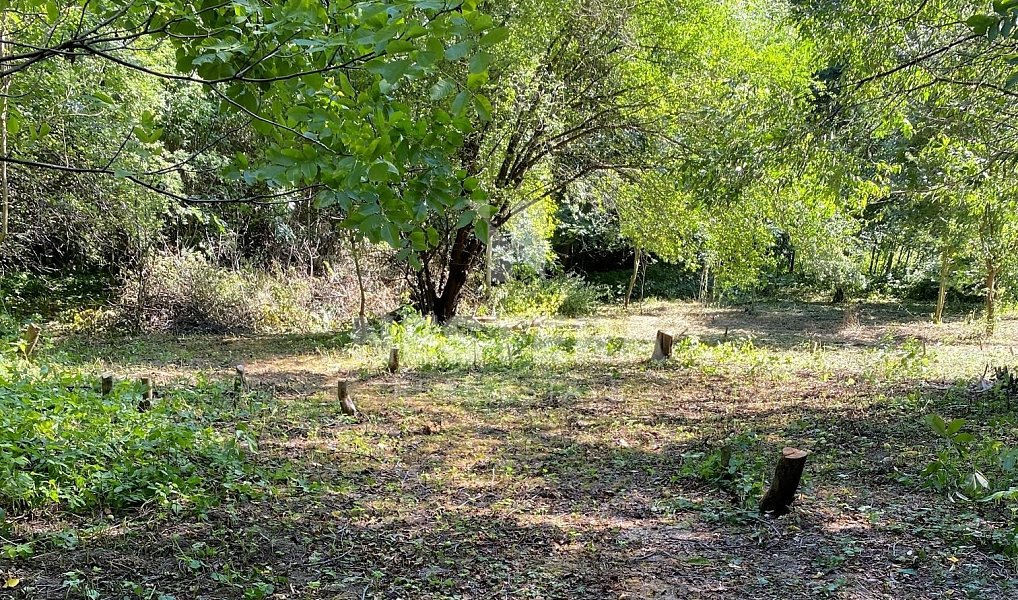 Prodej stavebního pozemku 5 321 m², Úholičky – náhled fotky 4