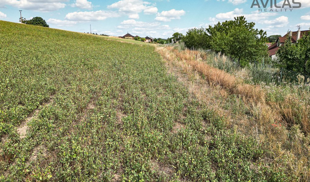 Prodej stavebního pozemku 7 885 m², Soběhrdy – náhled fotky 16