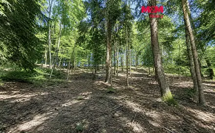 Prodej lesa 6 855 m², Jestřebí, okres Šumperk