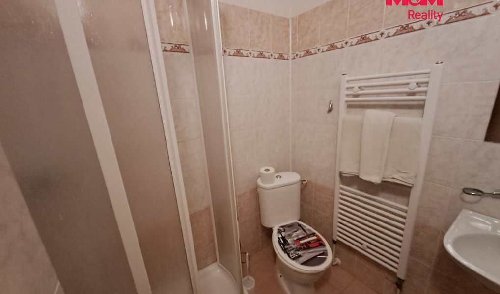 Prodej ubytovacího objektu 300 m², Široká Niva – náhled fotky 14