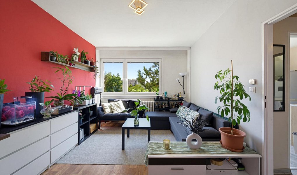 Prodej bytu 2+1 50 m², Třebíč – náhled fotky 5