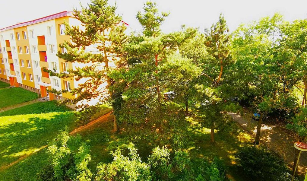 Prodej bytu 1+1 30 m², Jihlava – náhled fotky 6