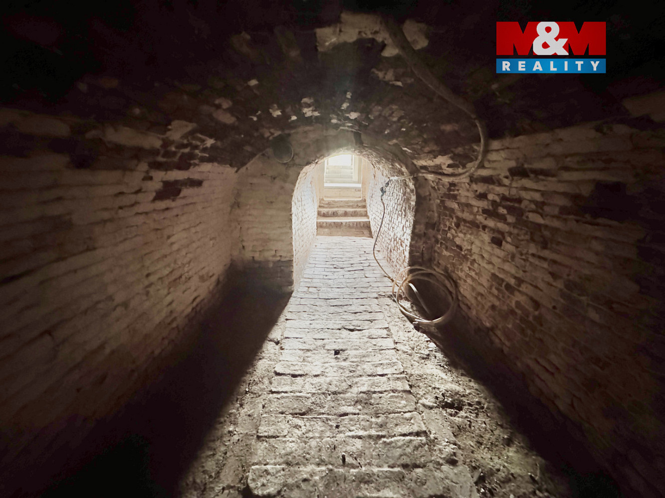 Prodej vinného sklepu, 86 m2, velké bílovice — photo 4
