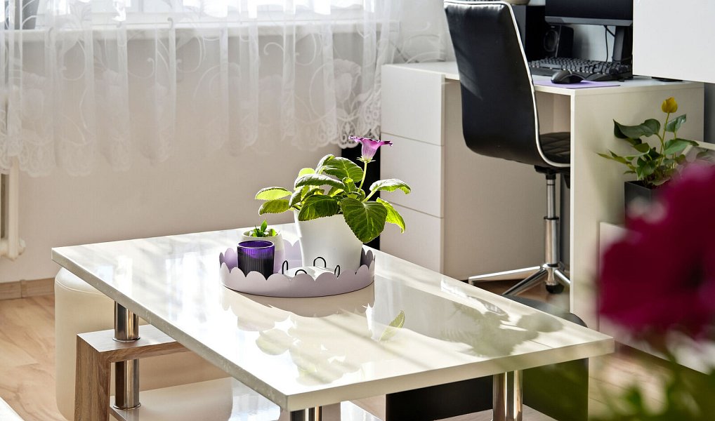 Prodej bytu 3+1 64 m², Praha – náhled fotky 6