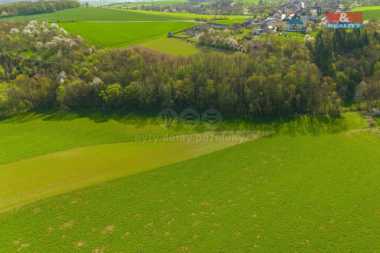 Prodej pole 4 100 m² — photo 5